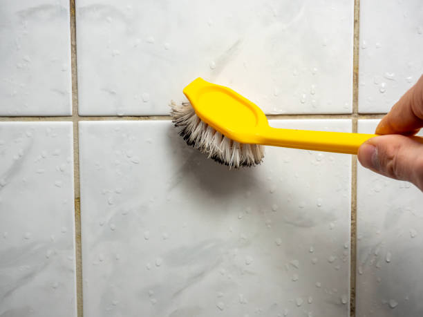 Best Local Mold Removal Service  in Bentleyville, PA