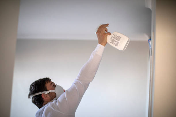 Best Same-Day Mold Removal  in Bentleyville, PA