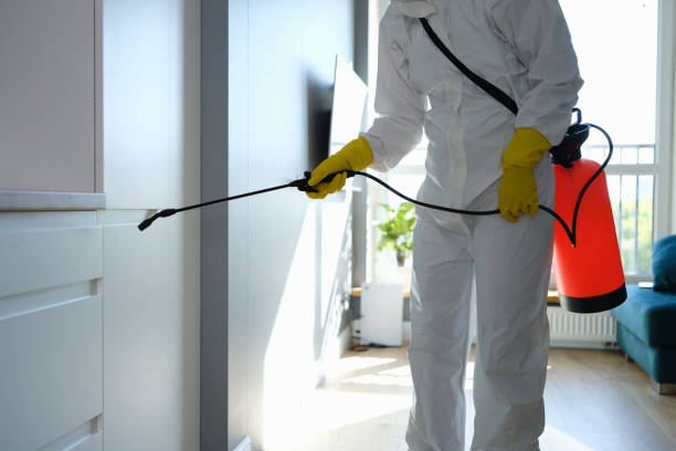 Best Mold Testing  in Bentleyville, PA